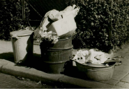 Straatbeeld anno 1958: de zinken vuilnisemmer heeft net z’n entree gemaakt.
