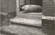 Een niet ontplofte bom in een woning aan de Tramstraat, 1941. Beeldcollectie Regionaal Historisch Centrum Eindhoven